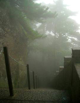 Mlha na hoře Jiuhua