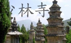 Klášter Šaolin a pagodový háj